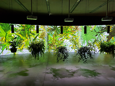"Eau de Jardin" 2004 by Christa Sommerer & Laurent Mignonneau