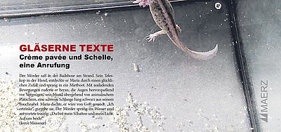 GLÄSERNE TEXTE - Crème pavée und Schelle