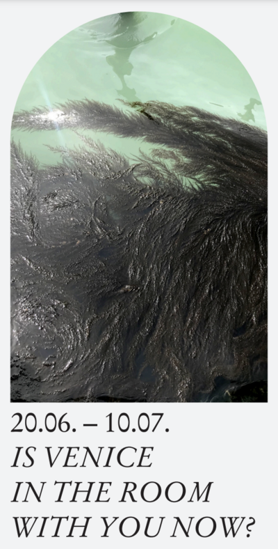 IS VENICE IN THE ROOM WITH YOU NOW?