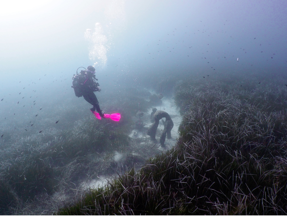 Kunstuniversität Linz: PHD COLLOQUIUM